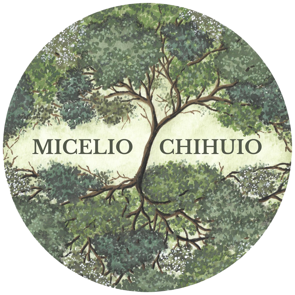 Micelio Chihuio