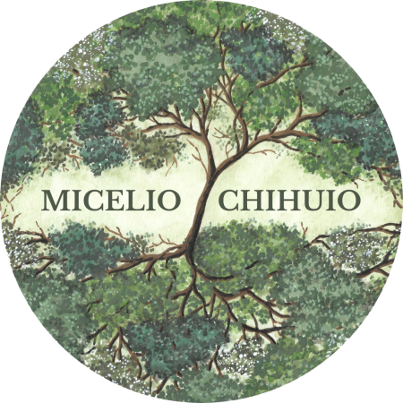 logomicelio1